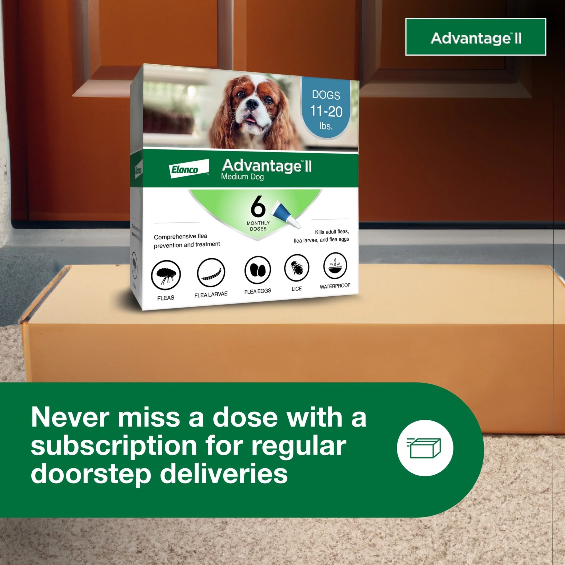 Vet-Recommended Flea Prevention for Medium Dogs 11-20 Lbs, 6-Monthly Treatments - Image 6