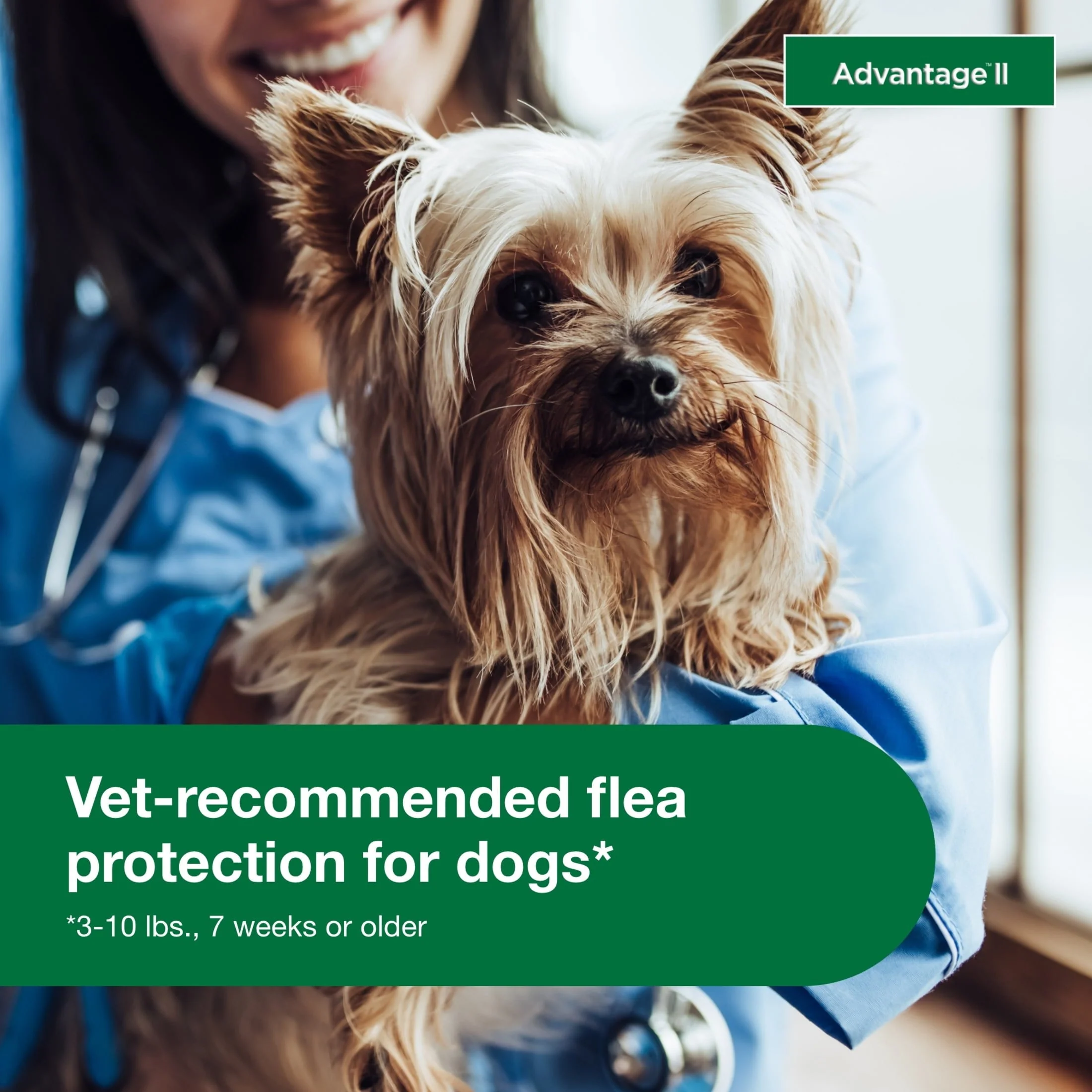 Vet-Recommended Flea Prevention for Small Dogs 3-10 Lbs, 6-Monthly Treatments - Image 2