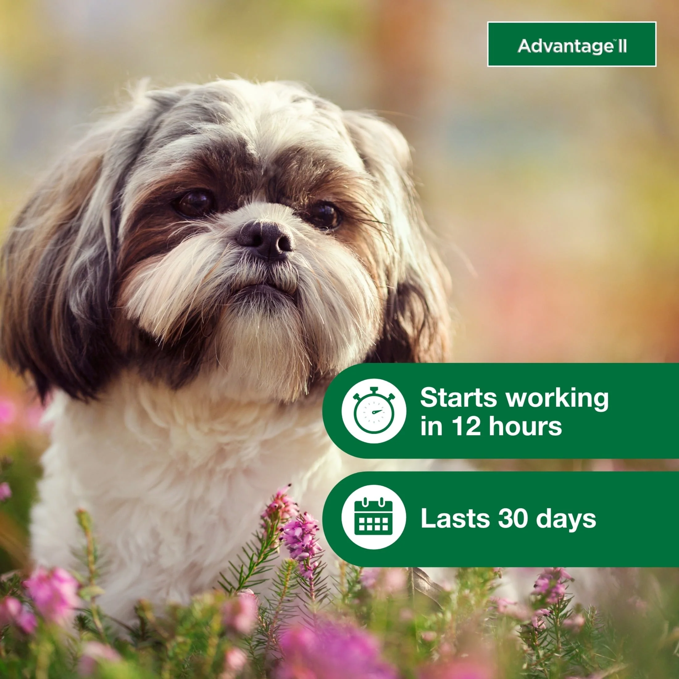 Vet-Recommended Flea Prevention for Small Dogs 3-10 Lbs, 6-Monthly Treatments - Image 5