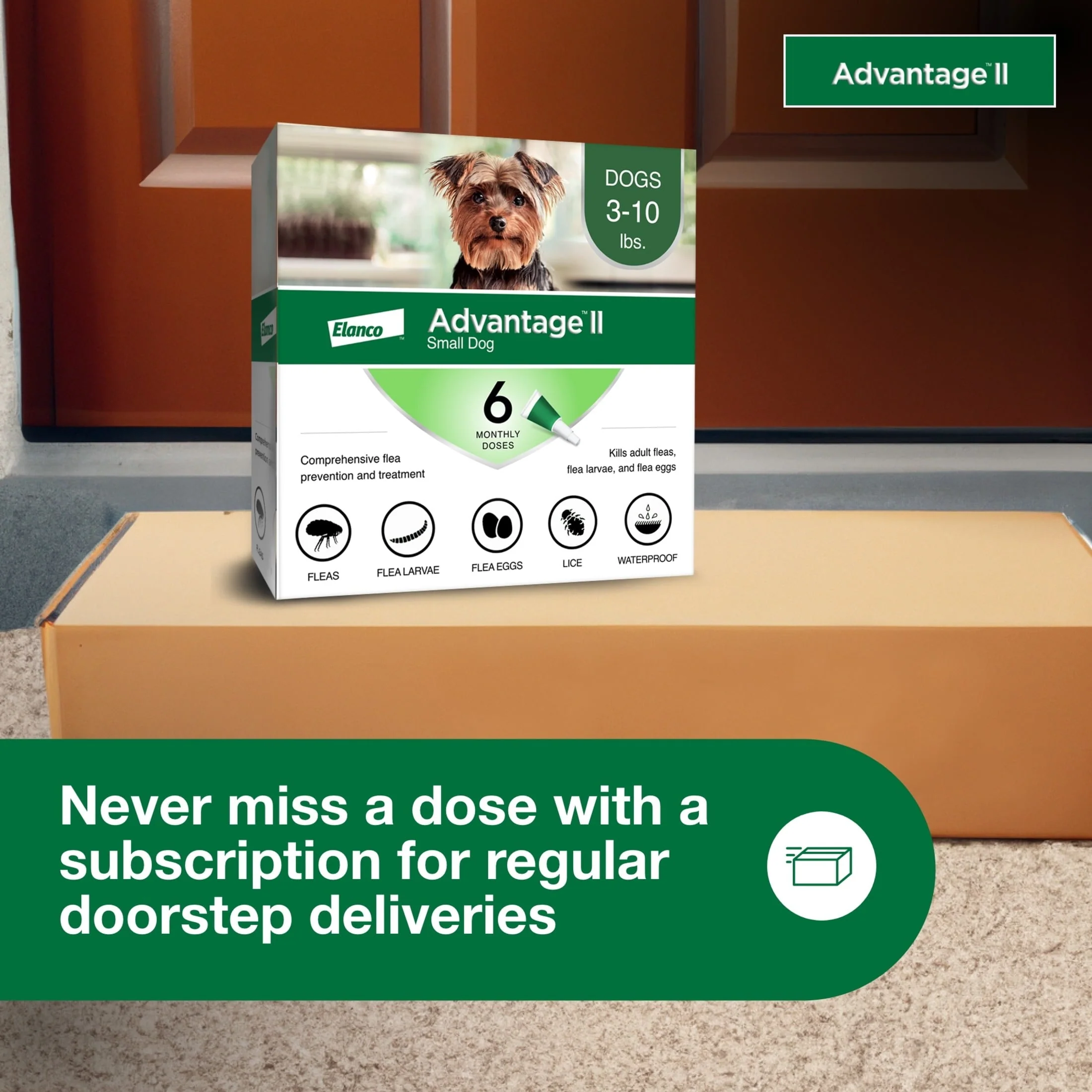 Vet-Recommended Flea Prevention for Small Dogs 3-10 Lbs, 6-Monthly Treatments - Image 6