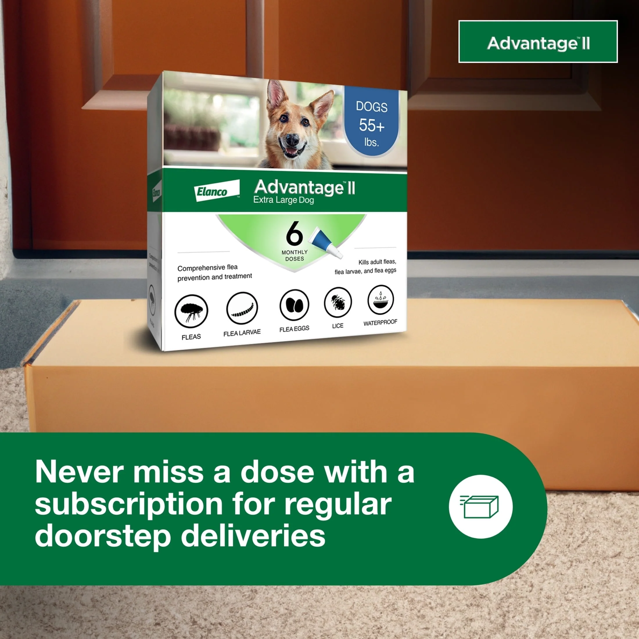 Vet-Recommended Flea Prevention for XL Dogs 55 Lbs+, 6-Monthly Treatments - Image 6