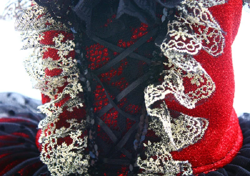 Victorian-Inspired Red and Black Lace Dog Trailing Dress Gothic Pet Gown Clinoline - Image 8