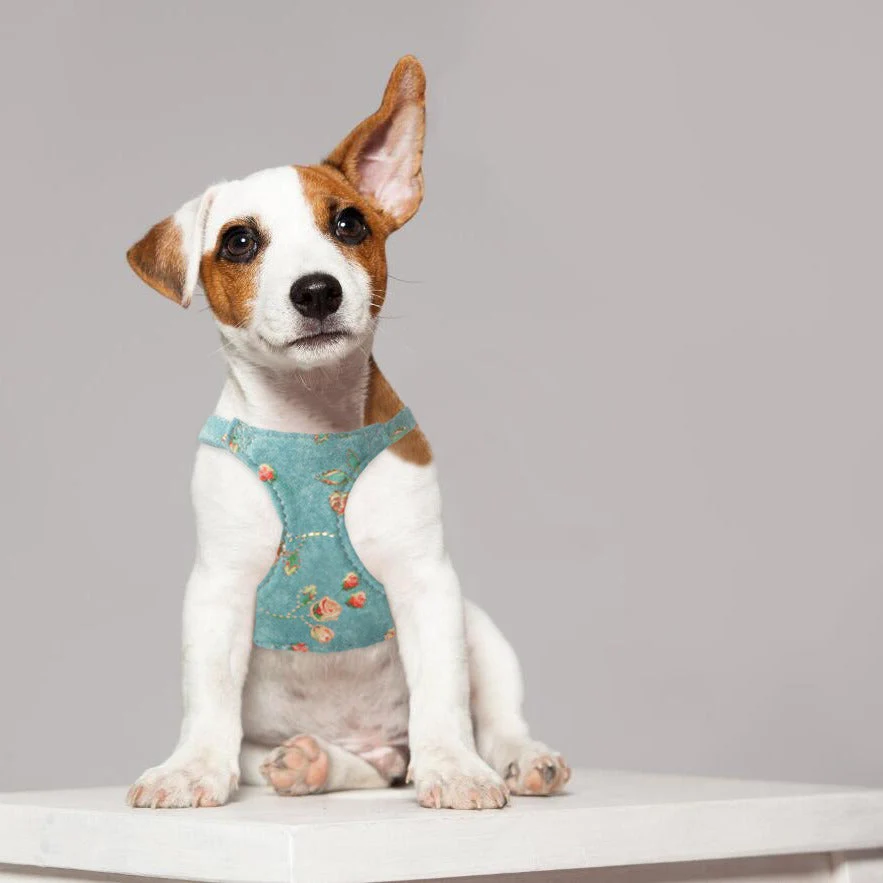 Vintage Floral Dog Harness & Leash Set – Soft Lightweight & Stylish - Image 6