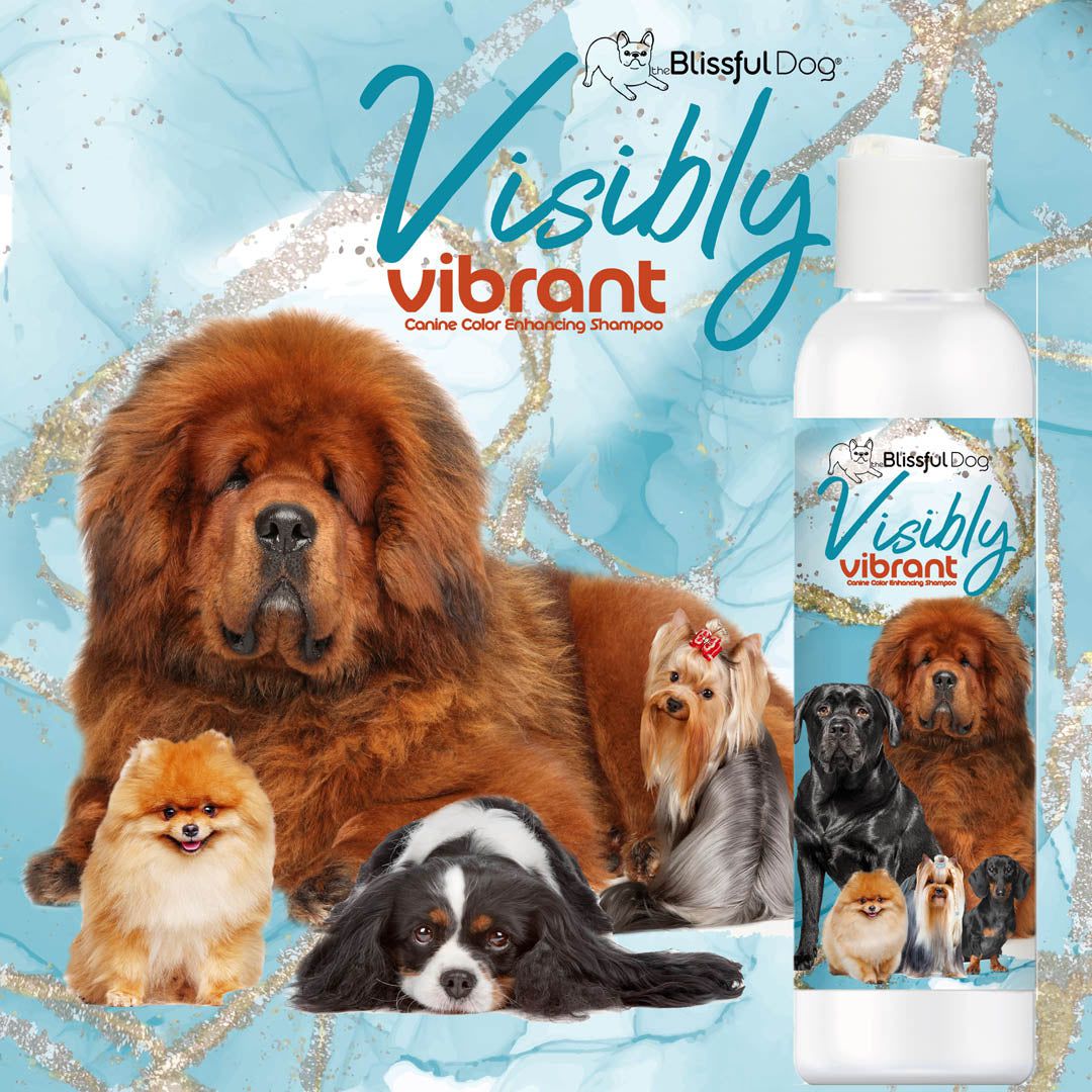 Visibly Vibrant Pet Shampoo - Image 2