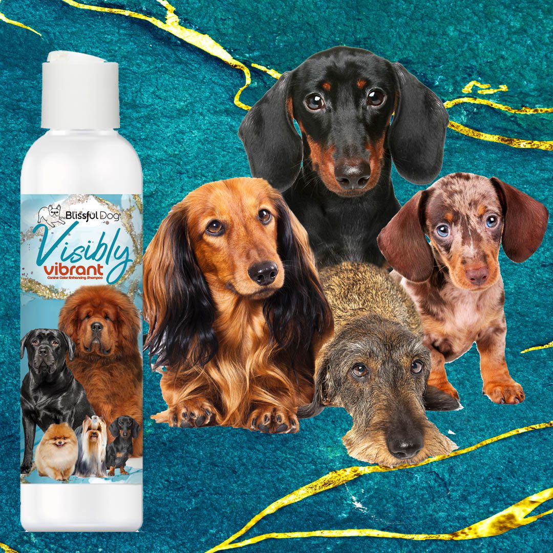 Visibly Vibrant Pet Shampoo - Image 3