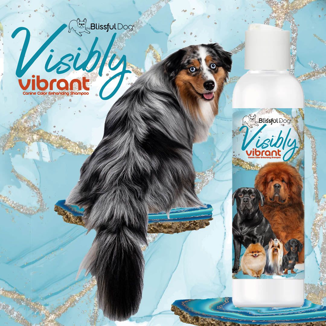 Visibly Vibrant Pet Shampoo - Image 4