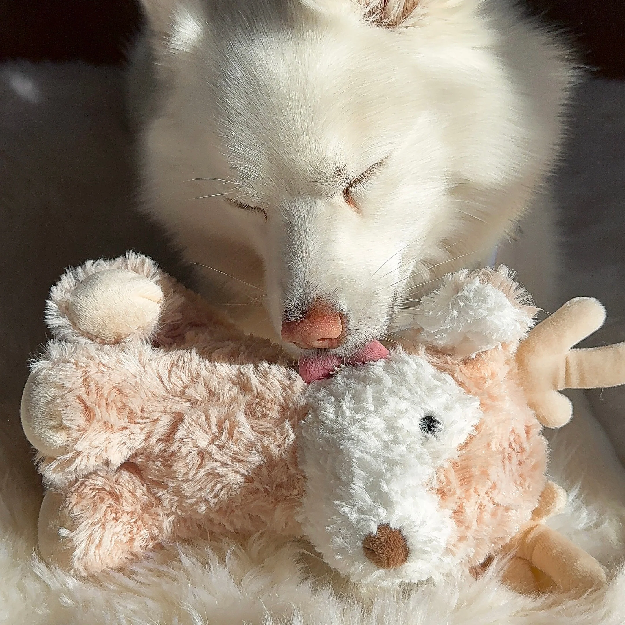 Vixi Maxi Plushie - Image 4