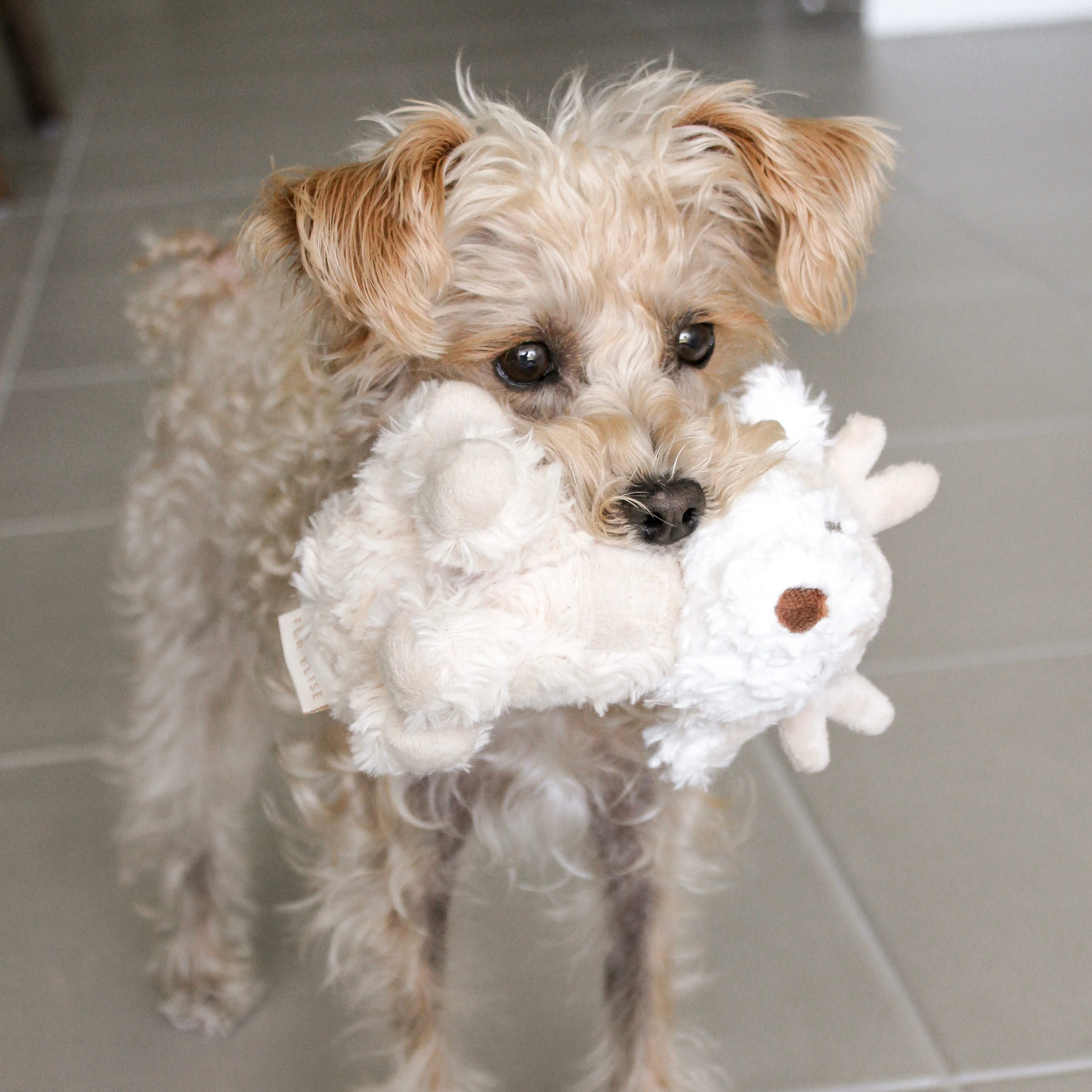 Vixi Mini Plushie - Image 4
