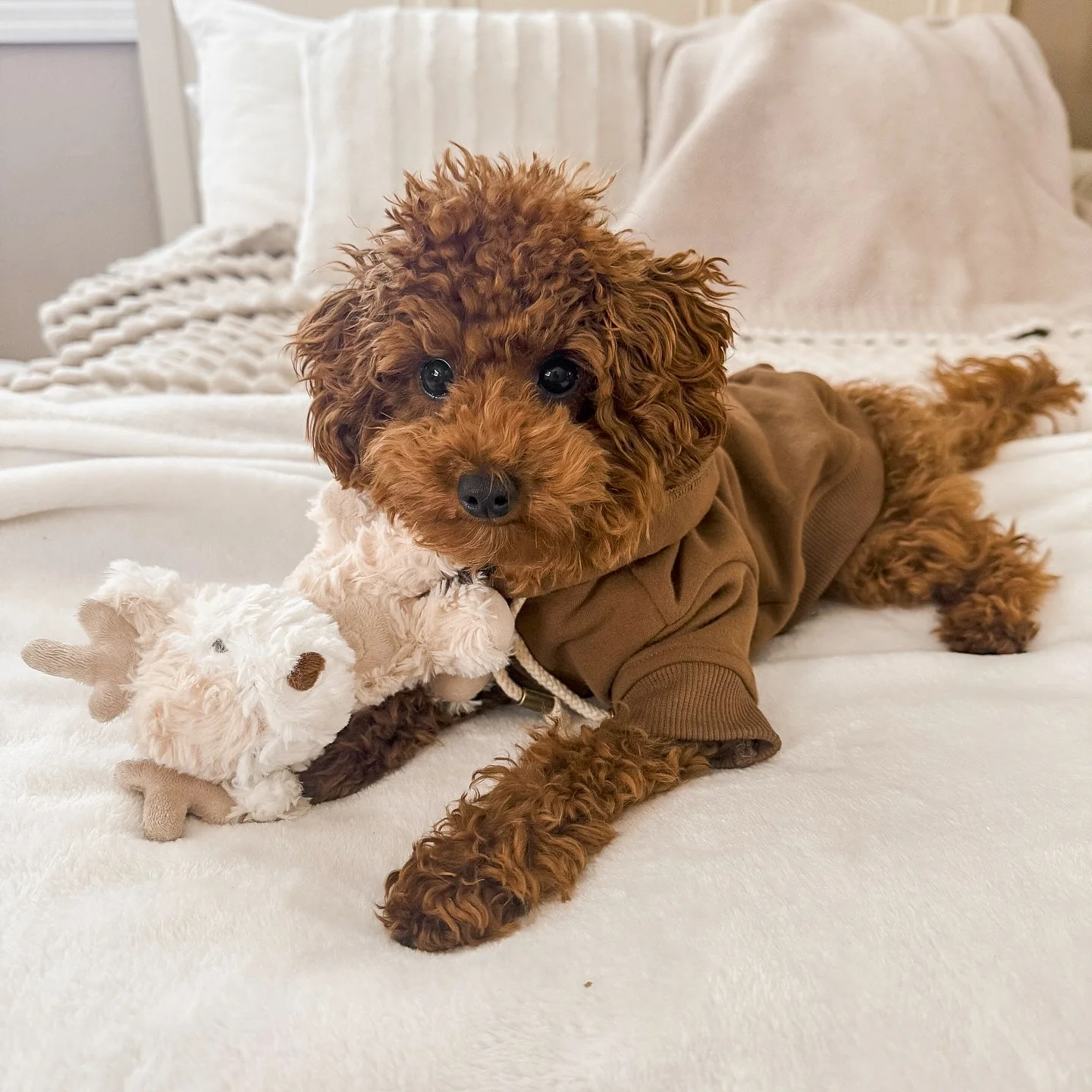 Vixi Mini Plushie - Image 6