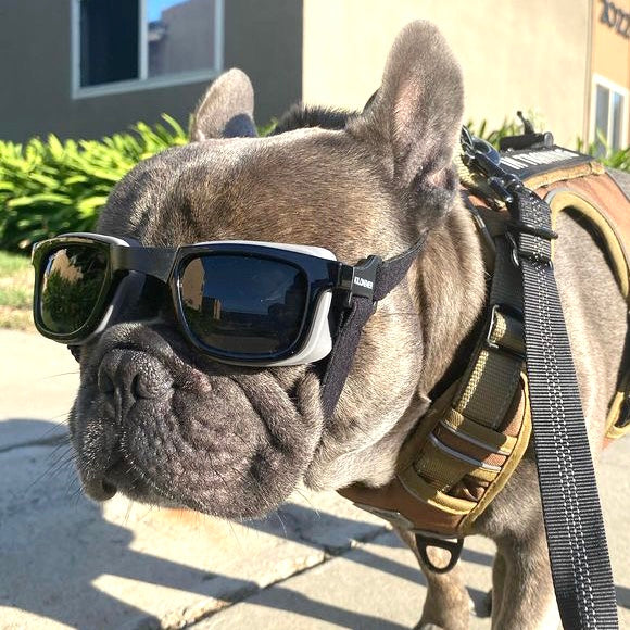 W1 Eye Defender Goggles - Image 10