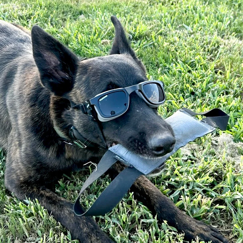 W1 Eye Defender Goggles - Image 6