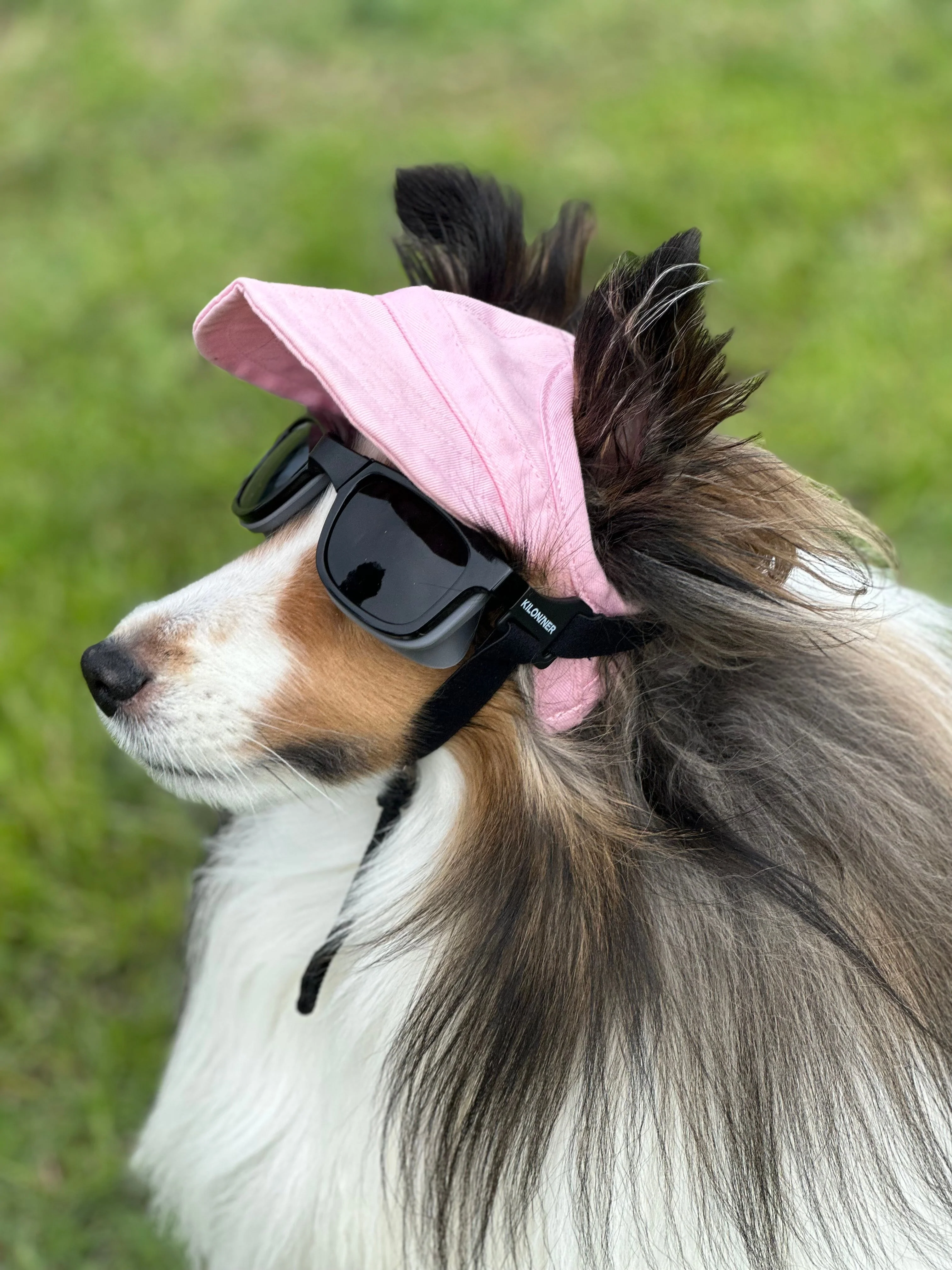 W1 Eye Defender Goggles - Image 7
