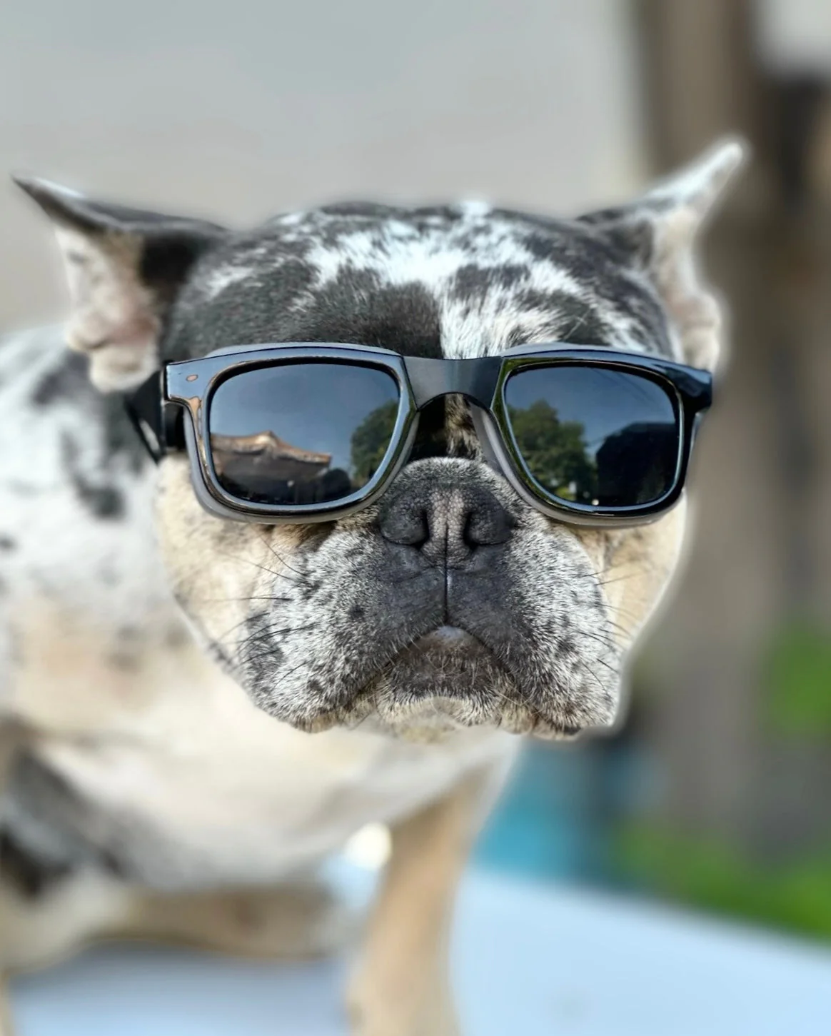 W1 Eye Defender Goggles - Image 8