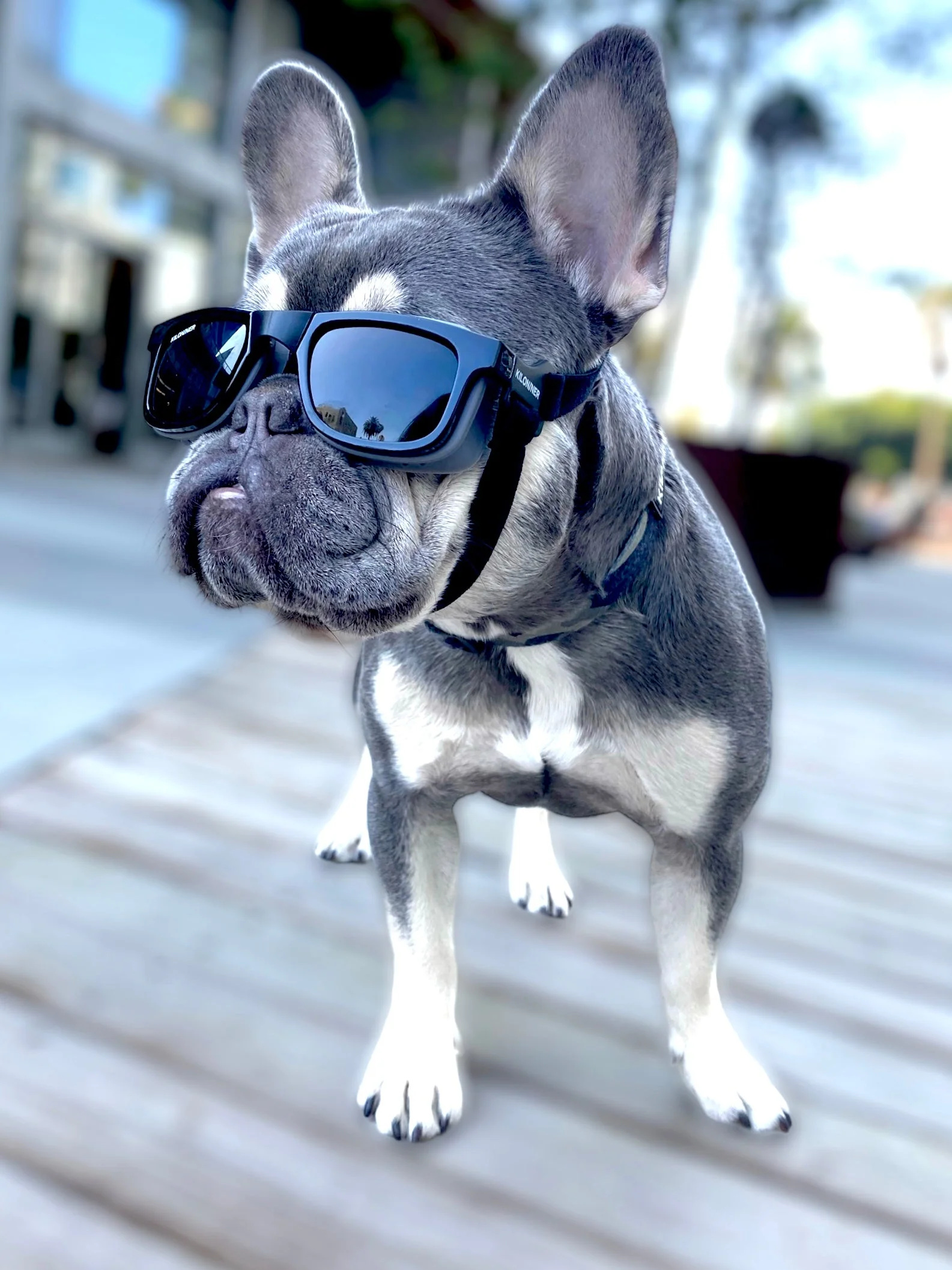 W1 Eye Defender Goggles - Image 9