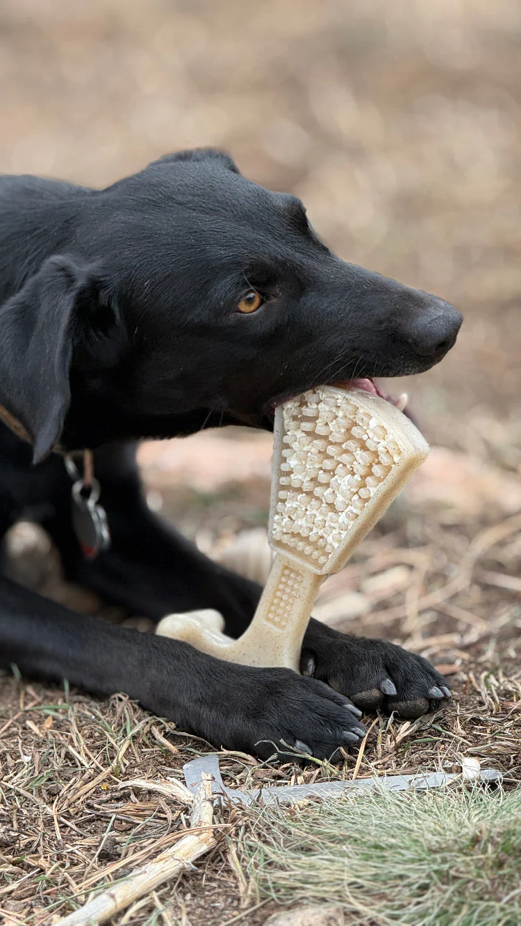 Waffle Tower Nylon Chew & Enrichment Toy | 2-in-1 for Aggressive Chewers | SodaPup - Image 7