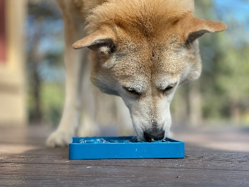 Waiting Dogs eTray - Shallow Slow Feeder Bowl for Enrichment | USA Made - Image 10