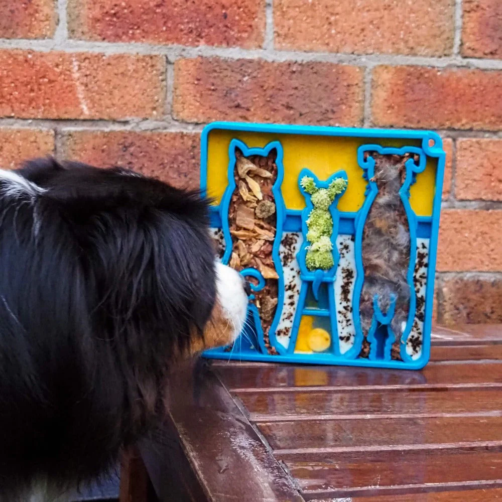 Waiting Dogs eTray - Shallow Slow Feeder Bowl for Enrichment | USA Made - Image 11