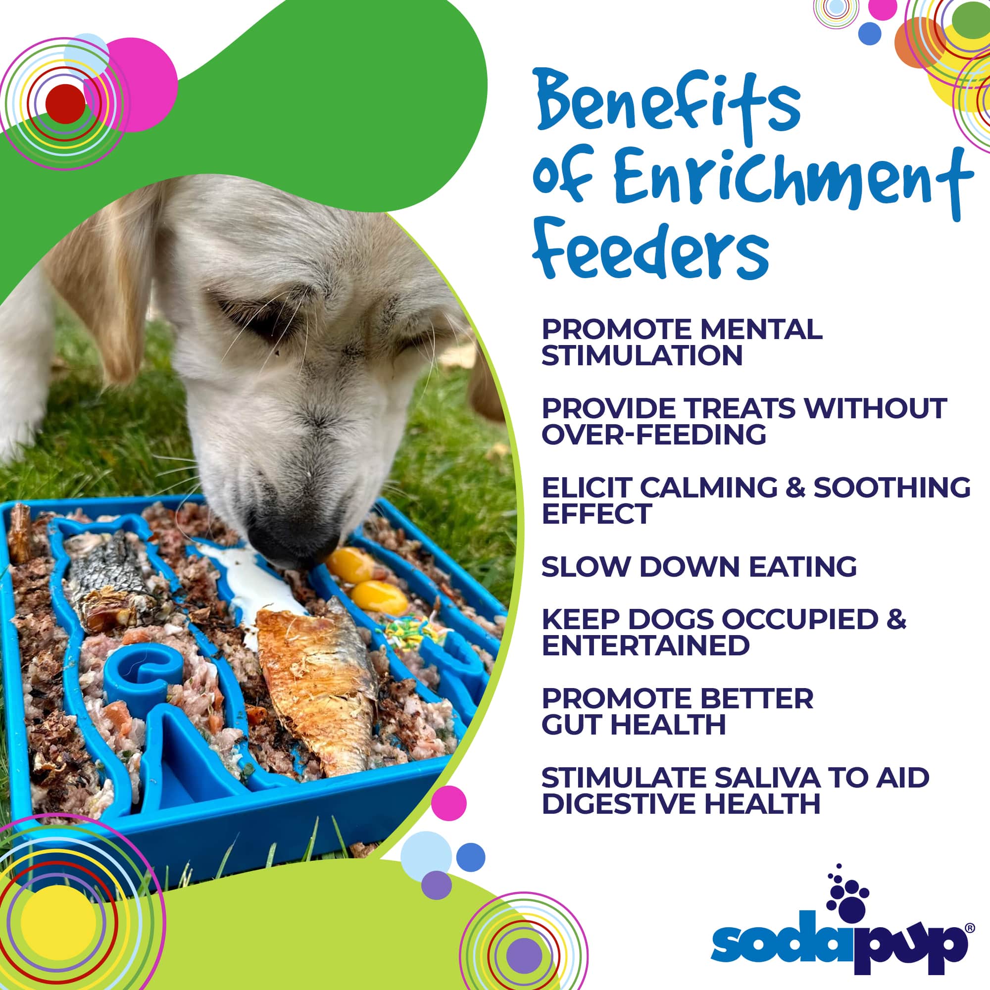 Waiting Dogs eTray - Shallow Slow Feeder Bowl for Enrichment | USA Made - Image 2