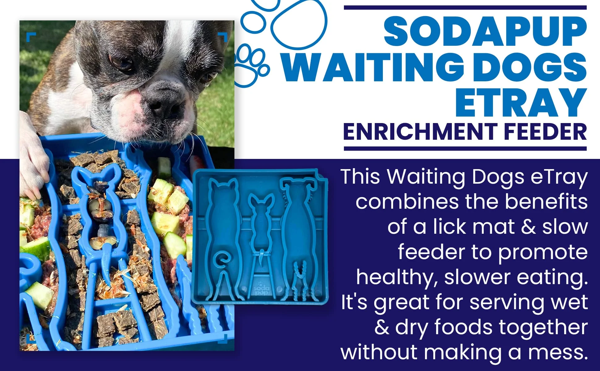 Waiting Dogs eTray - Shallow Slow Feeder Bowl for Enrichment | USA Made - Image 4