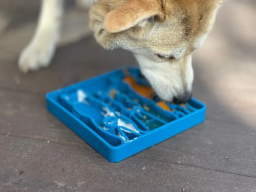 Waiting Dogs eTray - Shallow Slow Feeder Bowl for Enrichment | USA Made - Image 7