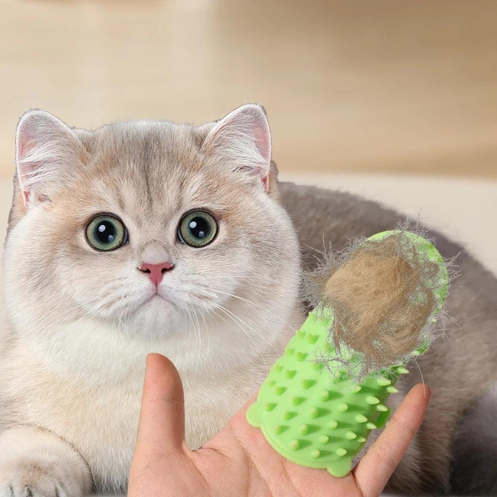 Wall Mounted Cat Massage Comb - Image 2