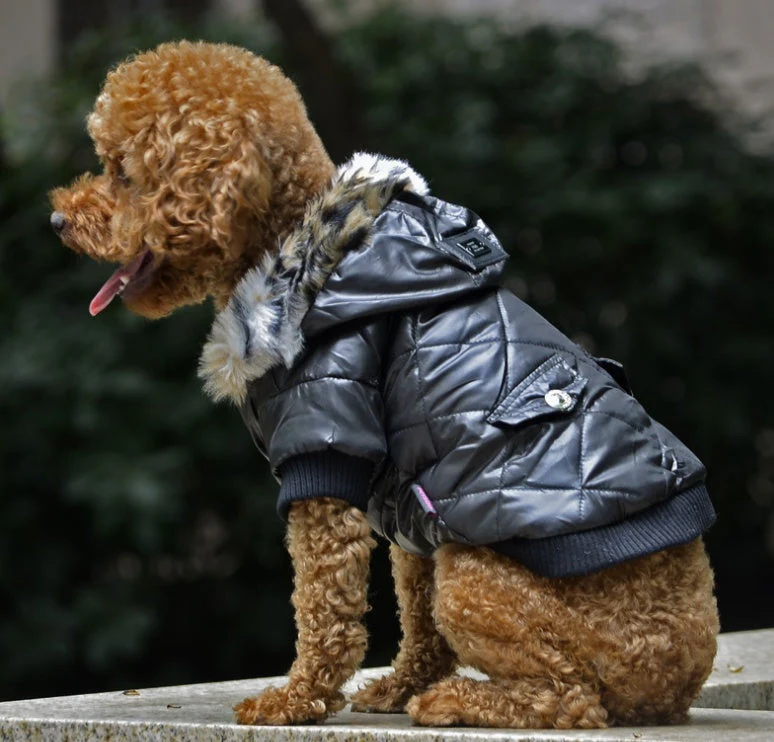 Warm Hooded Fashionable Dog Coat - Image 2