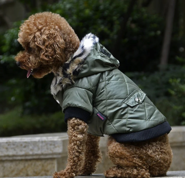 Warm Hooded Fashionable Dog Coat - Image 3