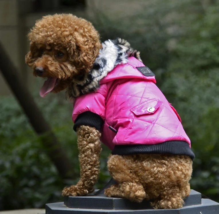 Warm Hooded Fashionable Dog Coat - Image 4
