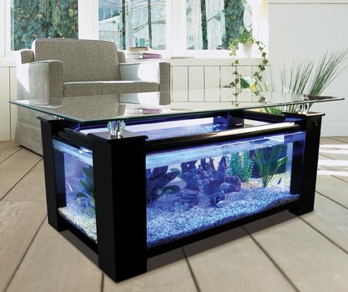 WARRANTY INCLUDED! 45 gallon GLASS rectangle table aquarium fish tank full setup - Image 2
