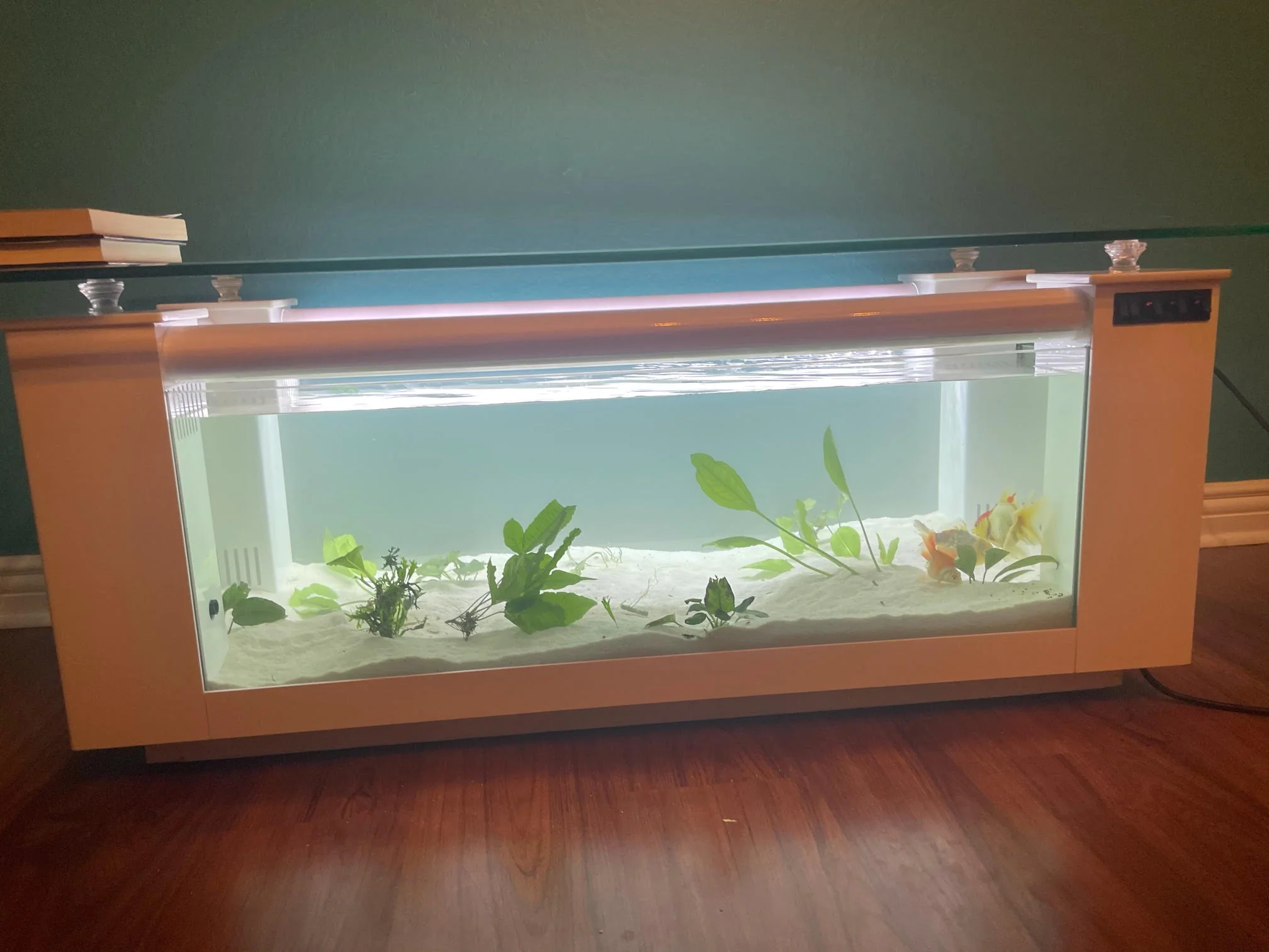 WARRANTY INCLUDED! 45 gallon GLASS rectangle table aquarium fish tank full setup - Image 3