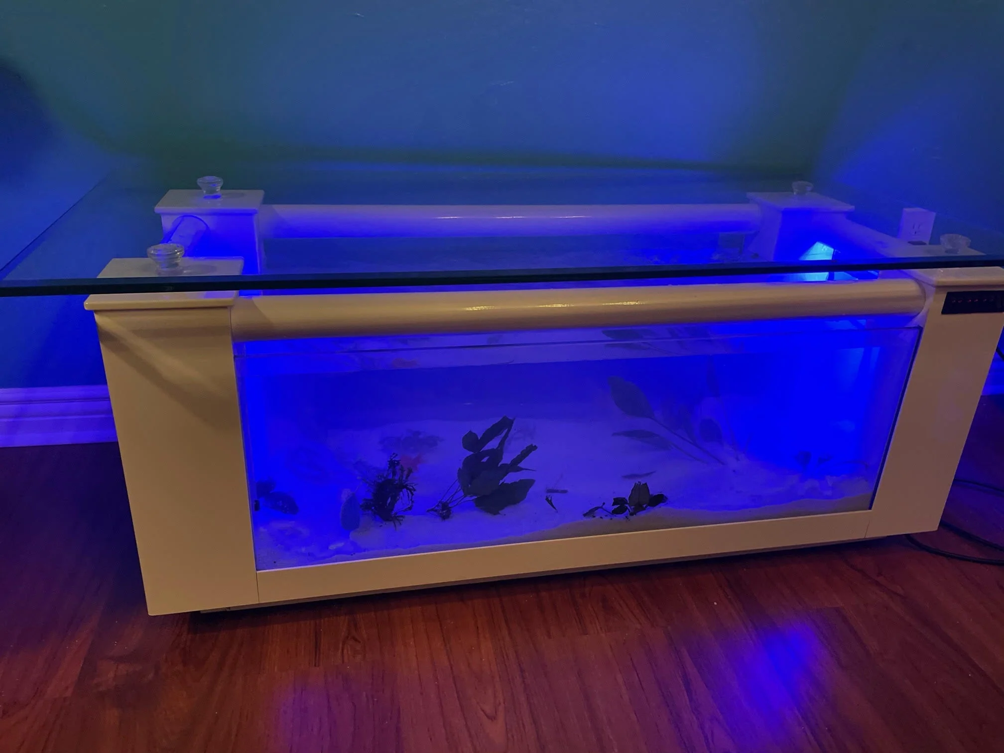 WARRANTY INCLUDED! 45 gallon GLASS rectangle table aquarium fish tank full setup - Image 4