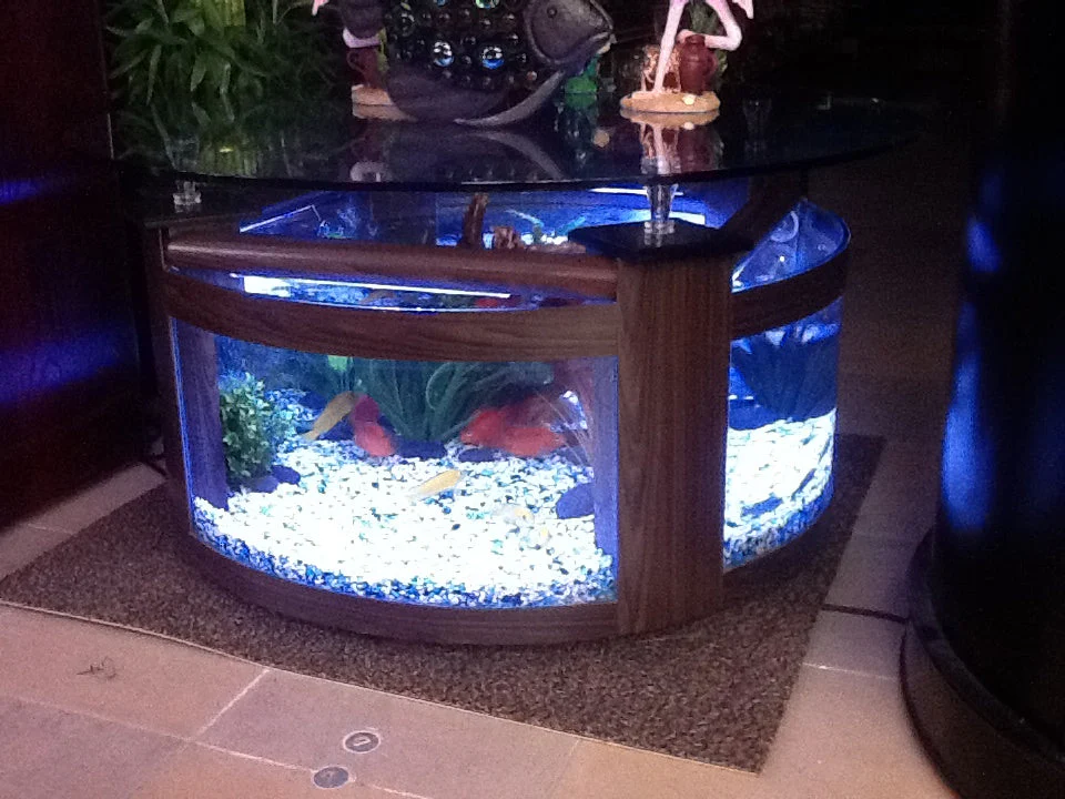 WARRANTY INCLUDED! 55 gallon GLASS round circle table aquarium fish tank setup- MAPLE - Image 2