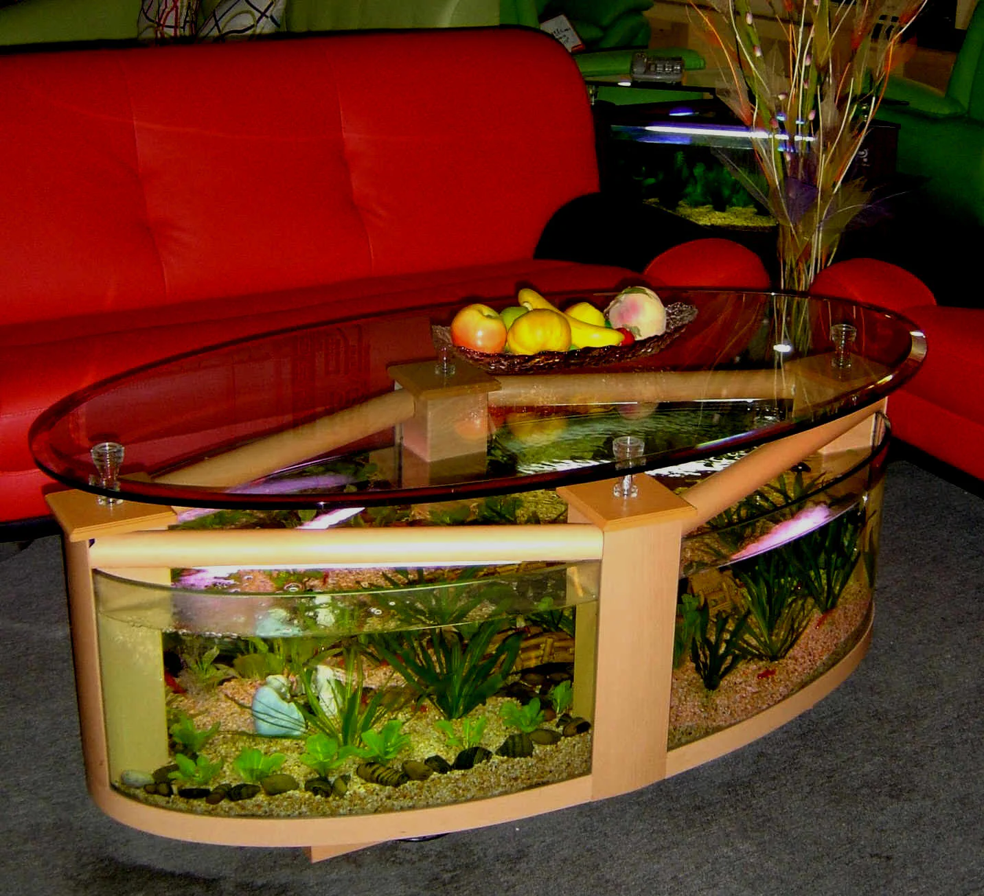 WARRANTY INCLUDED! 55 gallon GLASS round circle table aquarium fish tank setup- MAPLE - Image 3