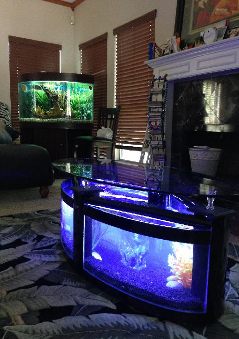 WARRANTY INCLUDED! 60 gallon GLASS oval round table aquarium fish tank setup - Image 2