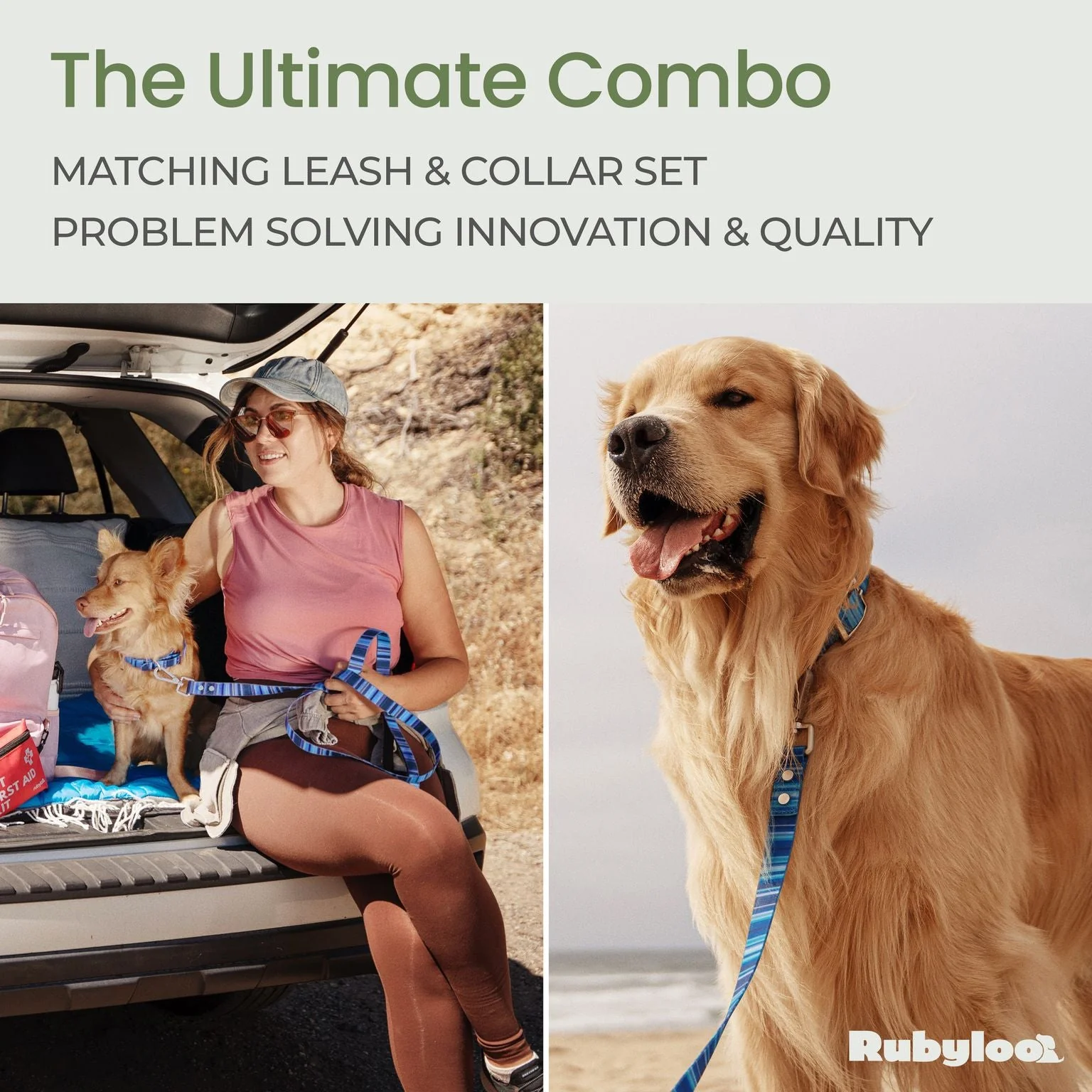 Washable, Waterproof & Stink Proof Dog Leashes - Image 6