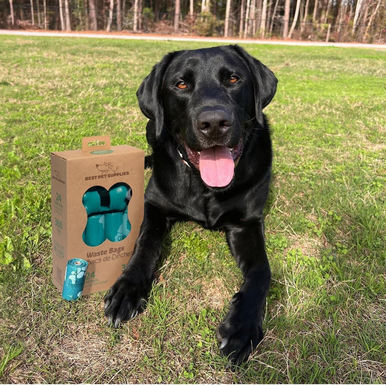 Waste Refuse Cleanup, Doggy Roll Replacements - Image 5