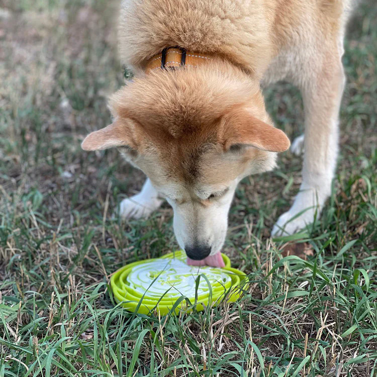 Water Frog eTray - Shallow Slow Feeder Dog Bowl for Enrichment | USA Made - Image 11