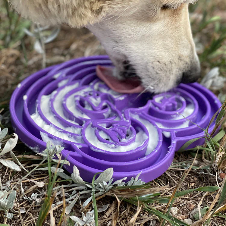 Water Frog eTray - Shallow Slow Feeder Dog Bowl for Enrichment | USA Made - Image 4