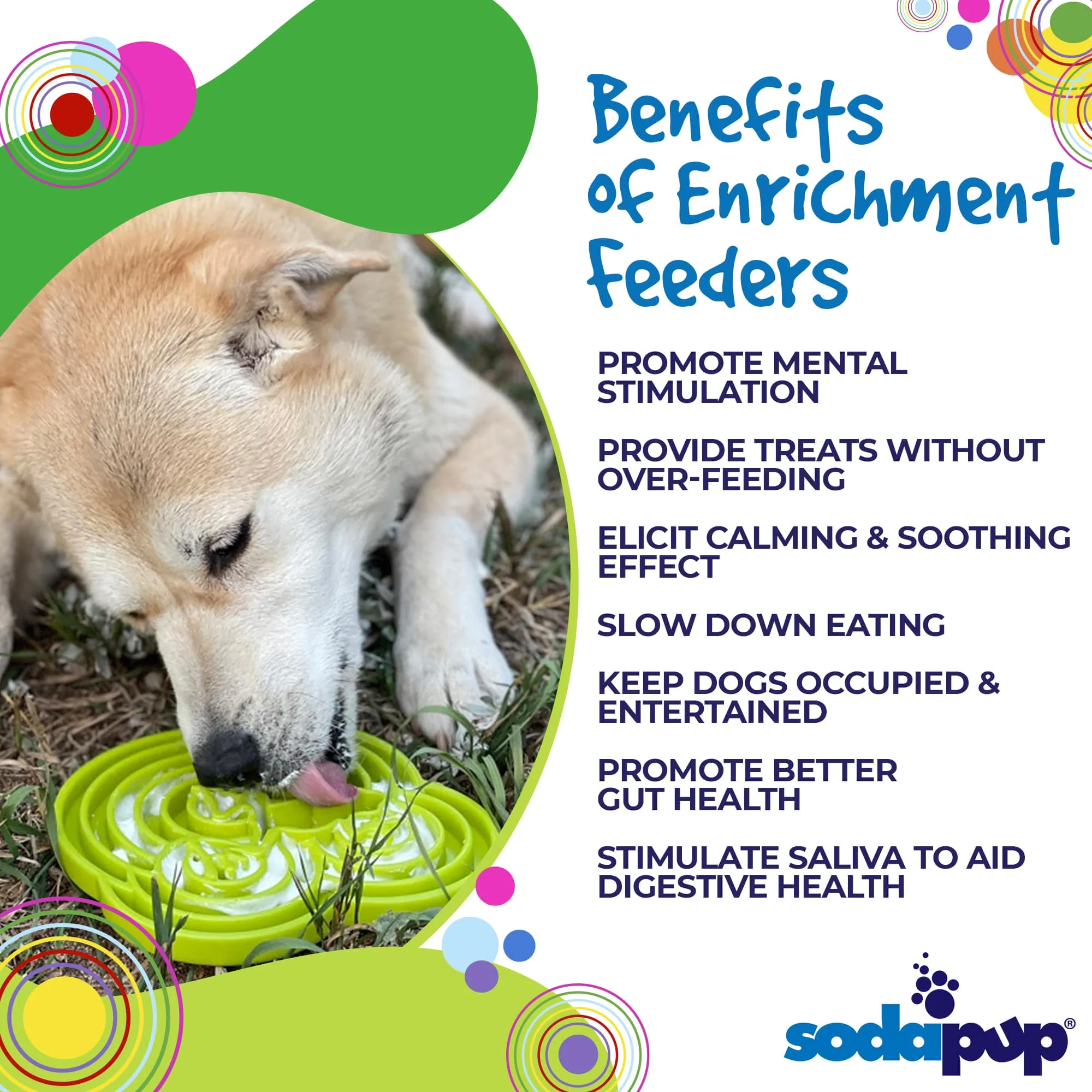 Water Frog eTray - Shallow Slow Feeder Dog Bowl for Enrichment | USA Made - Image 5