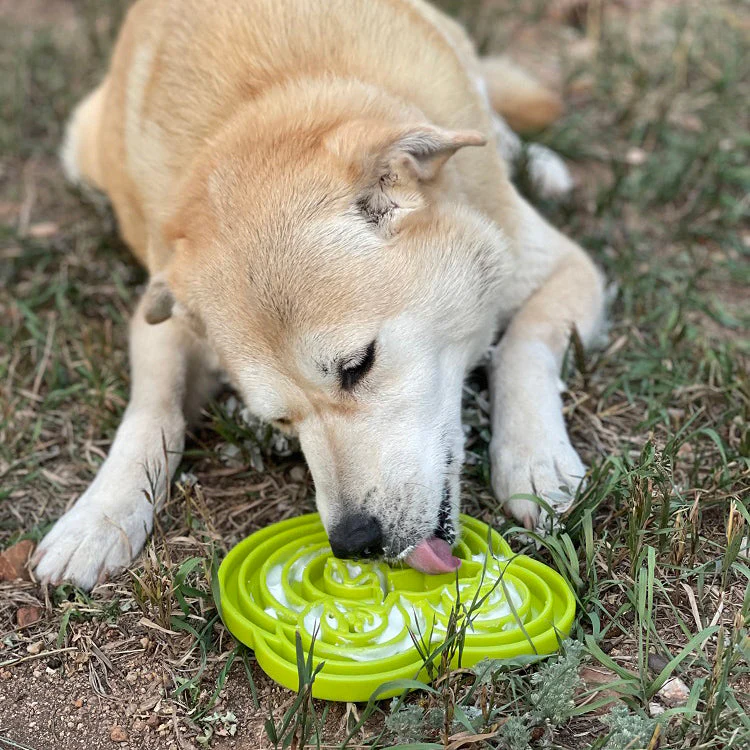 Water Frog eTray - Shallow Slow Feeder Dog Bowl for Enrichment | USA Made - Image 8