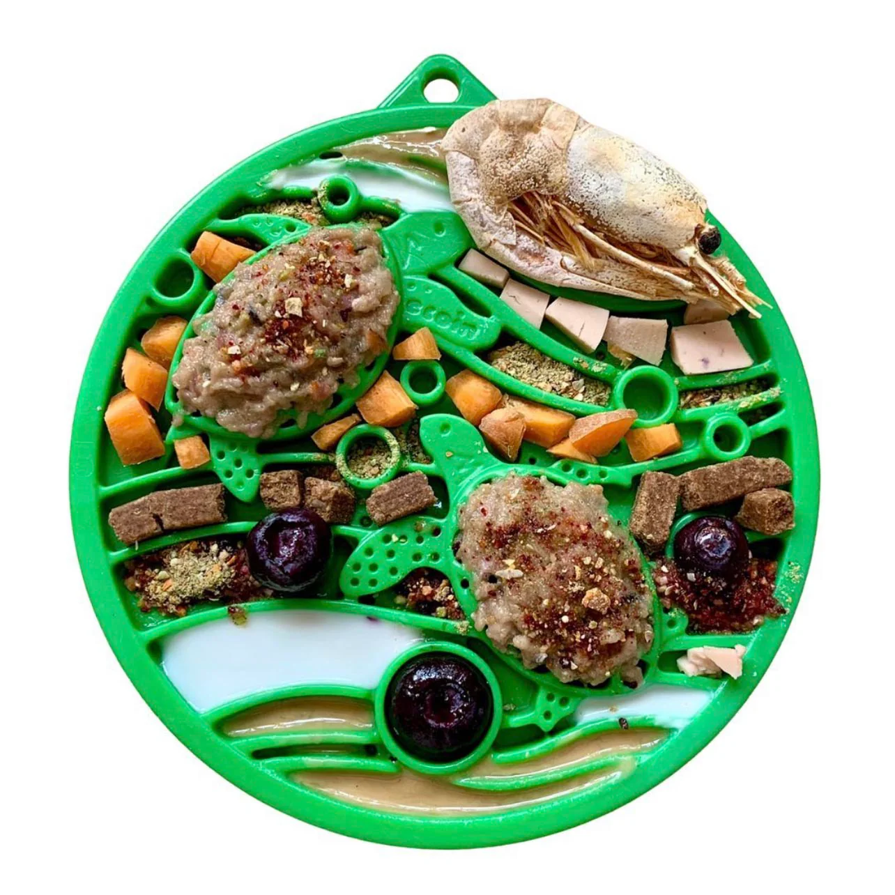 Water Nylon eCoin Durable Enrichment Snacking Coin for Dogs | USA-Made Lick Mat Alternative - Image 5