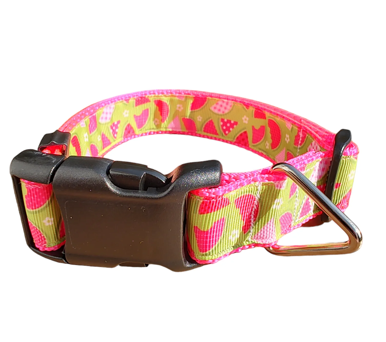 Watermelon Picnic Hot Pink Nylon Dog Collar MD, LG, XL, Leash - Image 2
