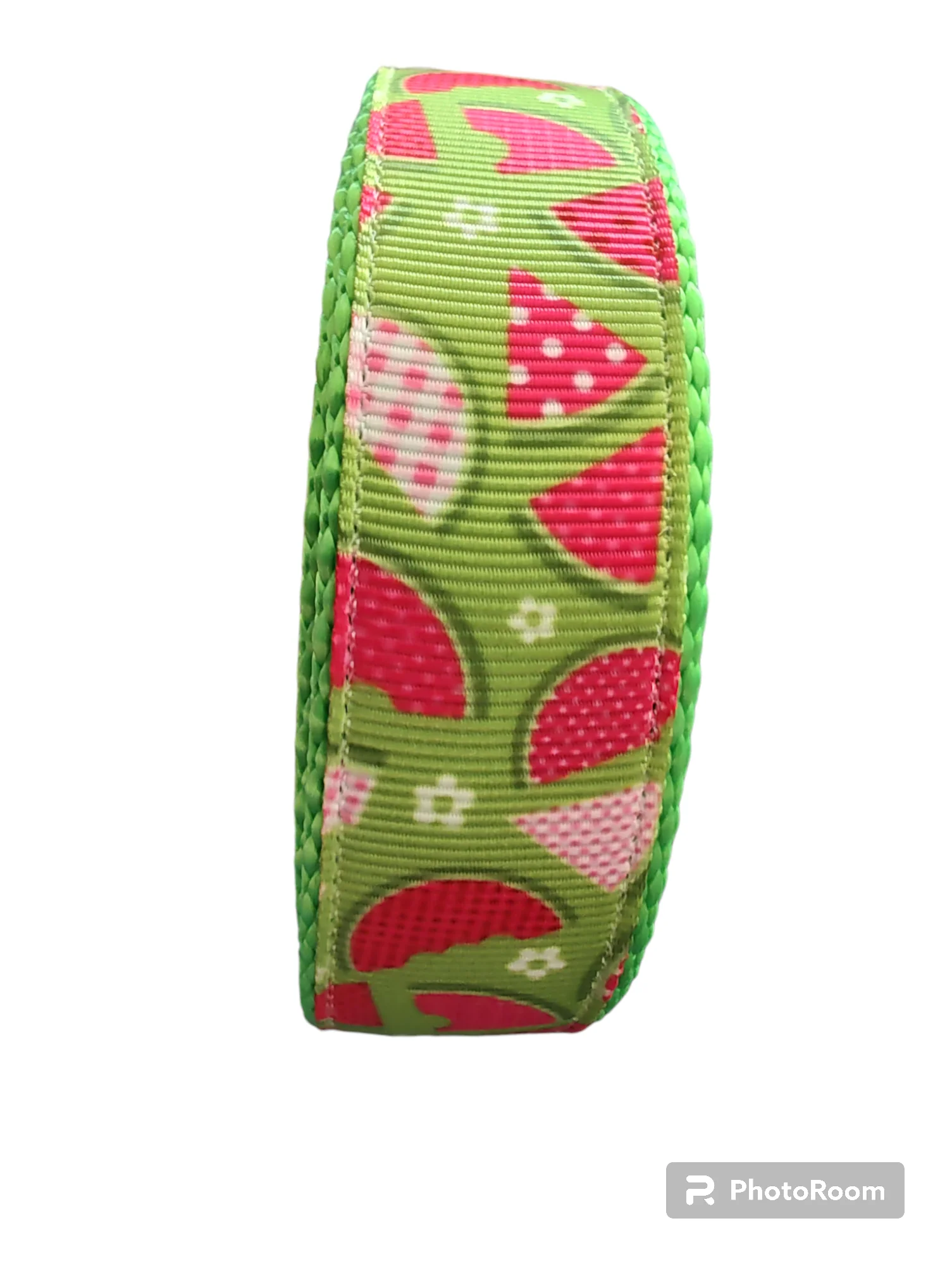 Watermelon Picnic Hot Pink Nylon Dog Collar MD, LG, XL, Leash - Image 4