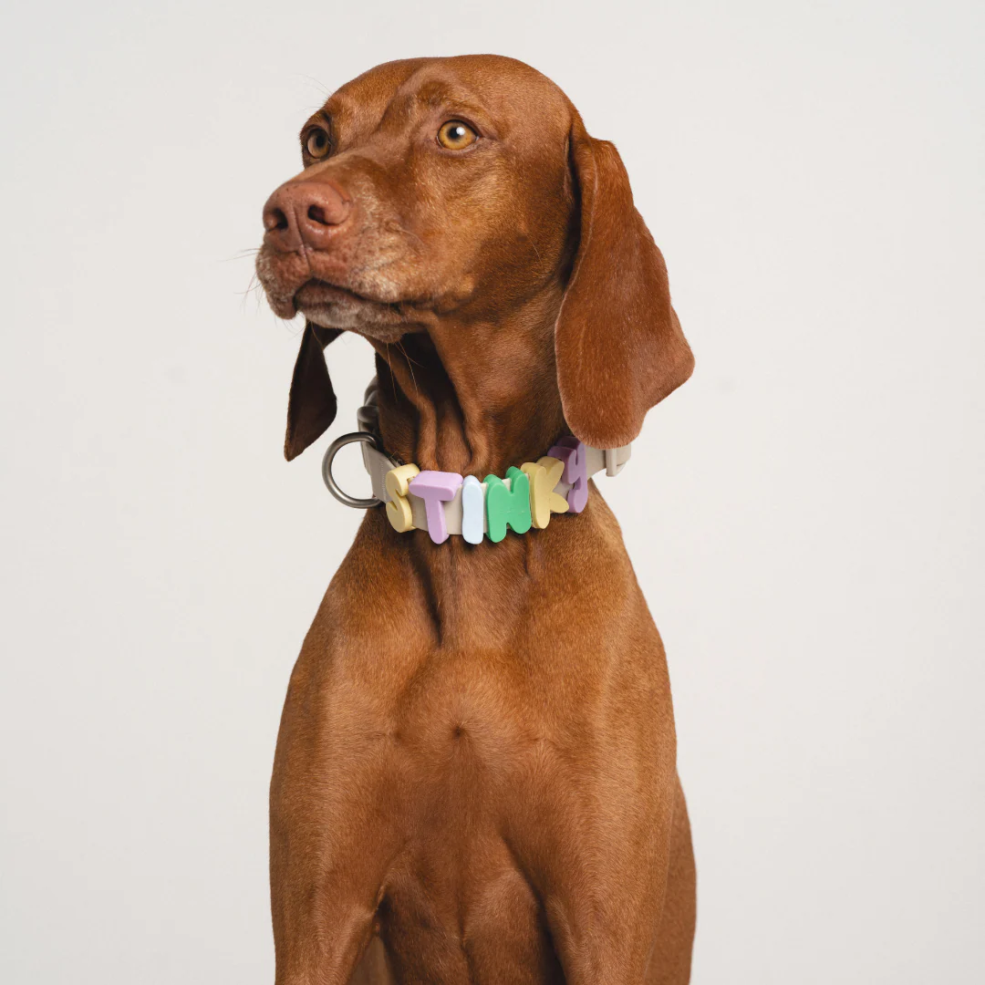 Waterproof Dog Collar - Image 12