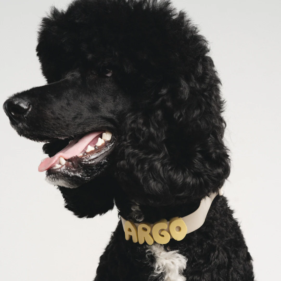 Waterproof Dog Collar - Image 15