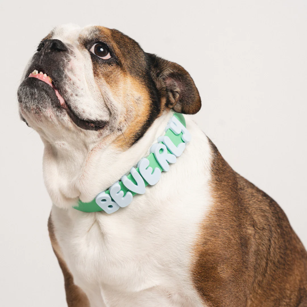 Waterproof Dog Collar - Image 19