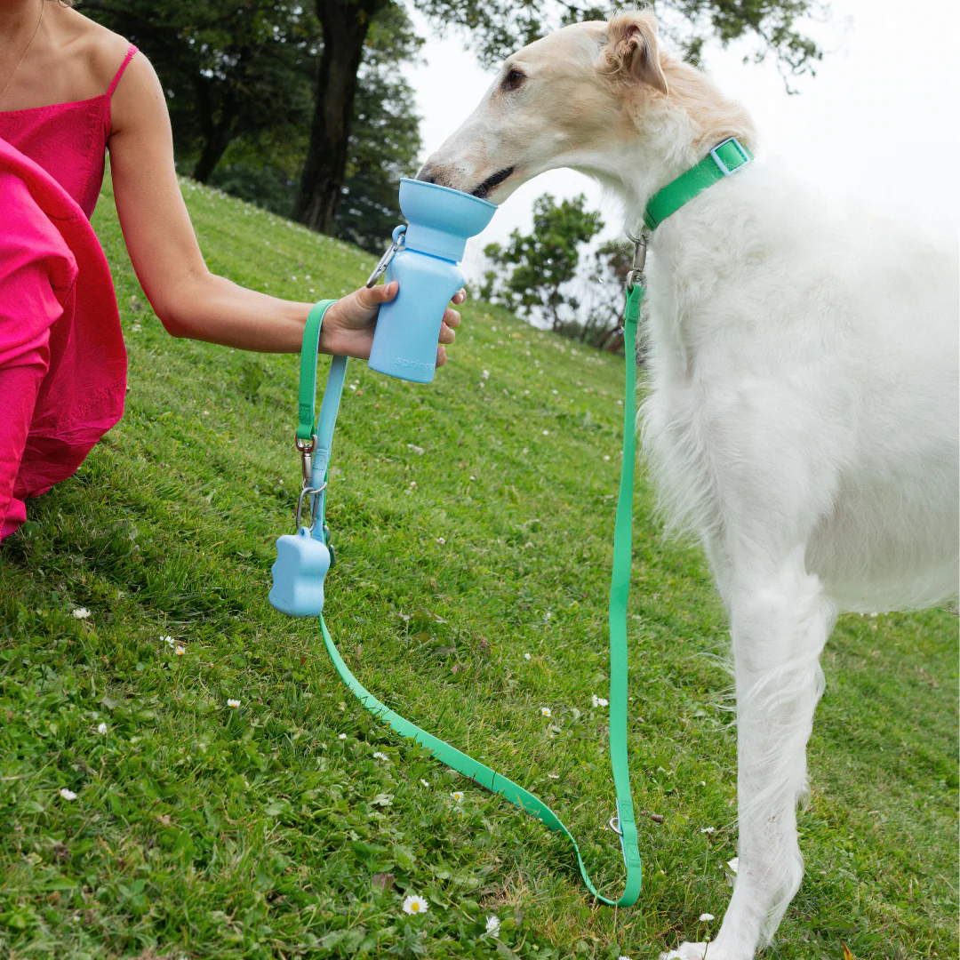 Waterproof Dog Collar - Image 23