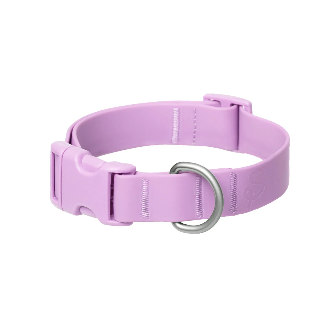 Waterproof Dog Collar - Image 26