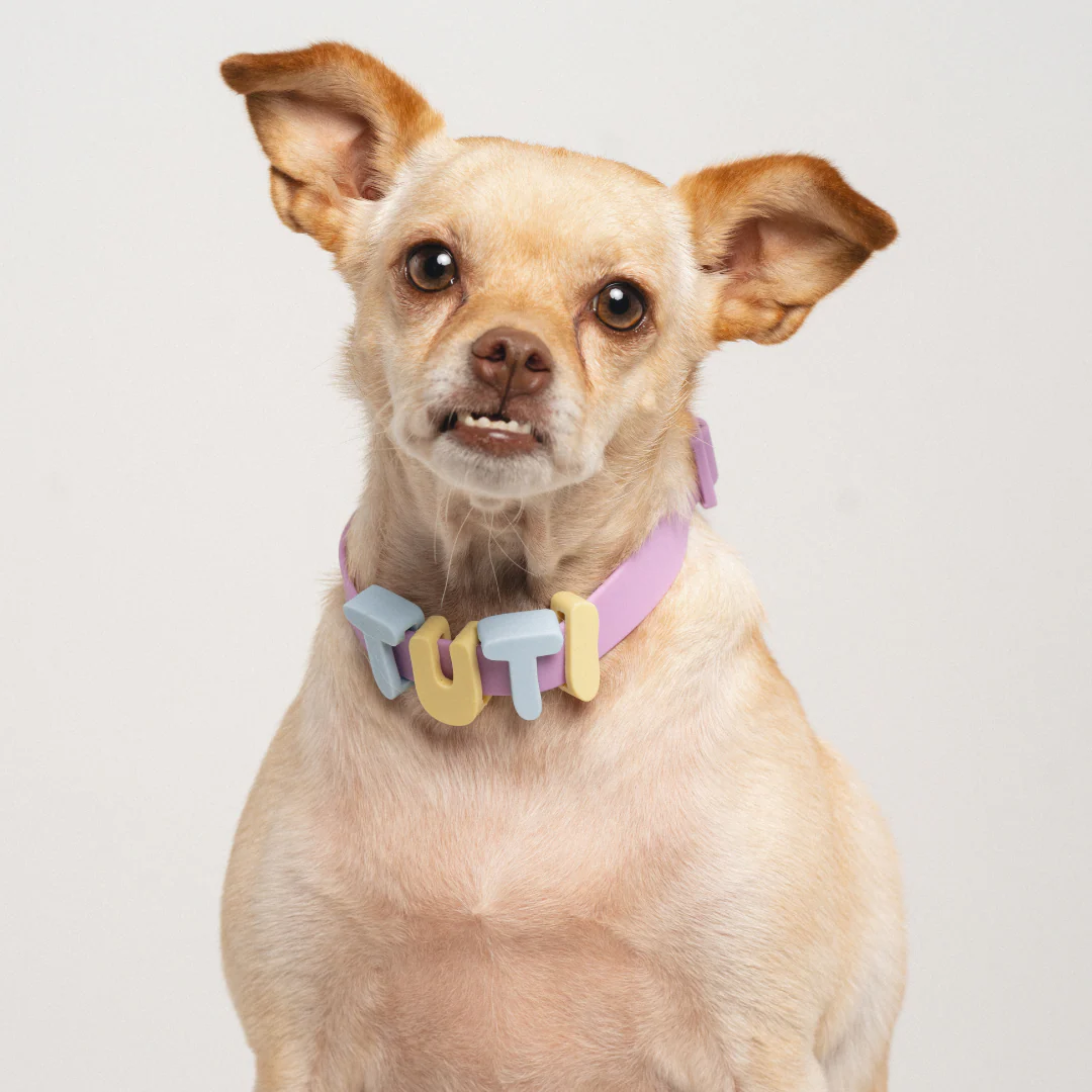 Waterproof Dog Collar - Image 27