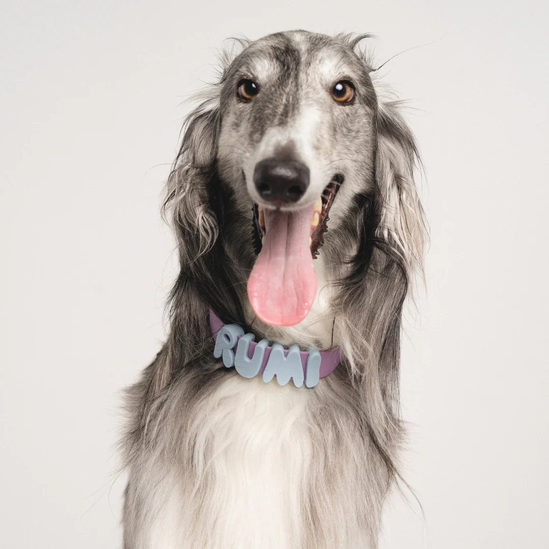 Waterproof Dog Collar - Image 28
